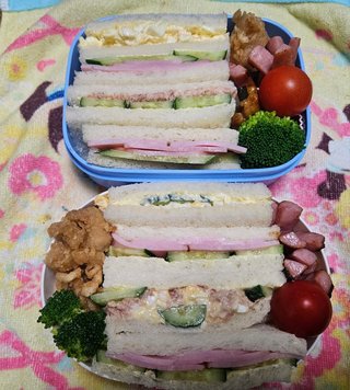 お弁当見せてください