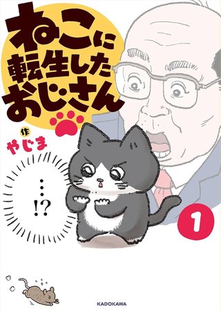 ねぇなんで猫って寝るところをこねるの？