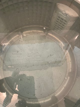 洗濯槽クリーナーよりコレいいよ！