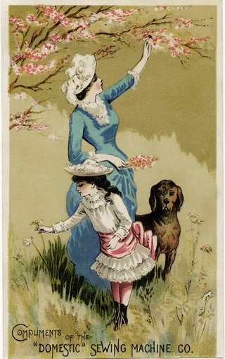 「赤毛のアン」が来年EテレでTVアニメ化、少女から女性になる過程を3本の柱で描く