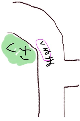 うちの近くの迷惑駐車