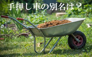 自転車の法改正が面倒くさくなる