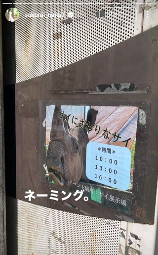 桜井奈々さんって