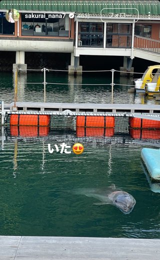 桜井奈々さんって