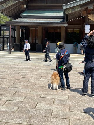 神社に犬持ち込み