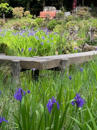 【総合】愛知県