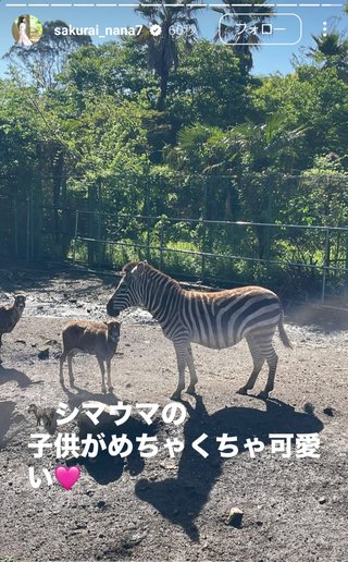 桜井奈々さんって