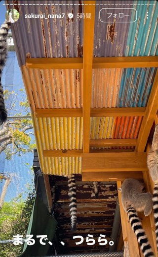 桜井奈々さんって