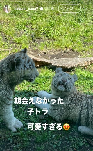 桜井奈々さんって