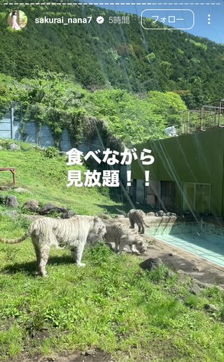 桜井奈々さんって