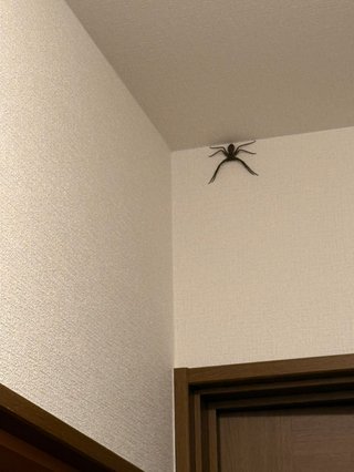 このような状況になったら、皆さんならどうしますか？