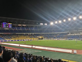 横浜って黄髪の子供たちが多いんだよね