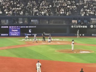 横浜ベイスターズの応援ってたのしくない？
