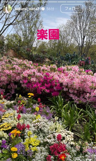 桜井奈々さんって