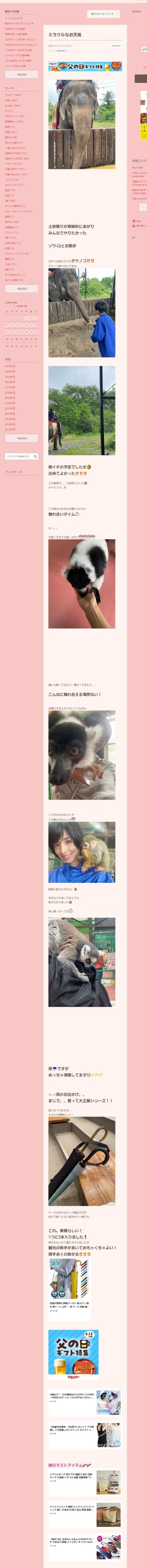 桜井奈々さんって