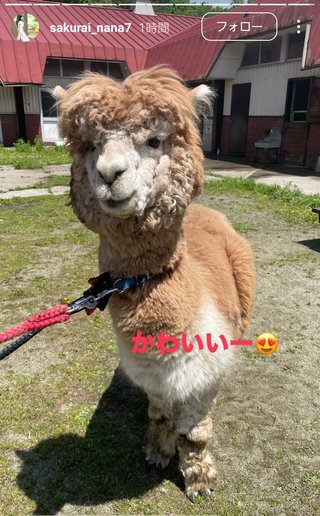 桜井奈々さんって