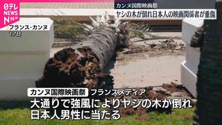 ヤシの木倒れ…日本人の映画関係者が重傷　カンヌ国際映画祭