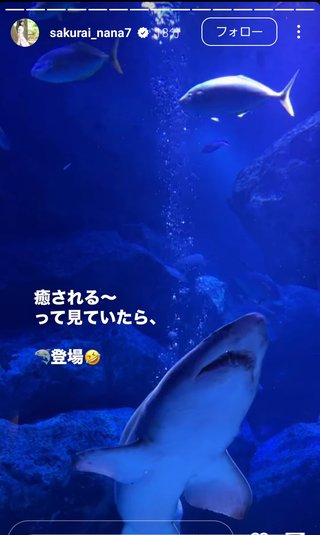 桜井奈々さんって