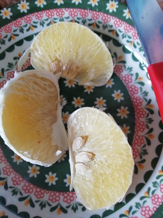 静岡県【総合】