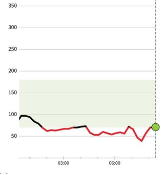 あいのり桃のモブ(ビジ友)よっこ