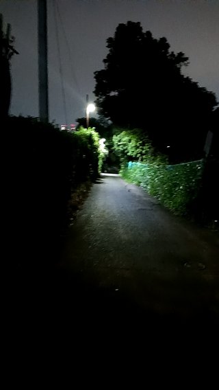 &#x{11:F8E2};なんでもいｰから&#x{11:F8E2};