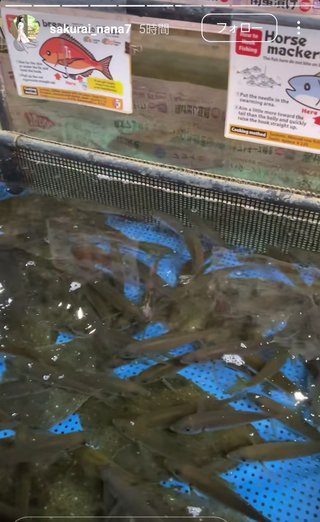 桜井奈々さんって