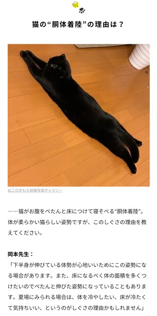 今年初　うちの猫がペタンしました