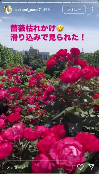 桜井奈々さんって