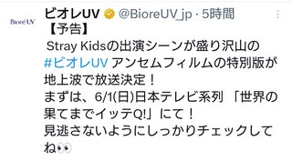 【雑談】🐺🐰🐿️🦊ストレイキッズ好きな人🐥🐷🐶🥟
