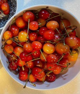 《なんでも》 おやつ🍰貼っていきませんか？