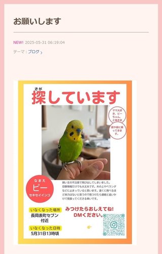 ウコンと支給品と私、時々娘のどすこいな日々