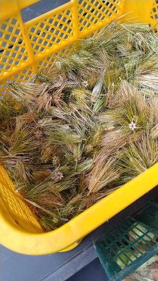 レス禁止 独り言