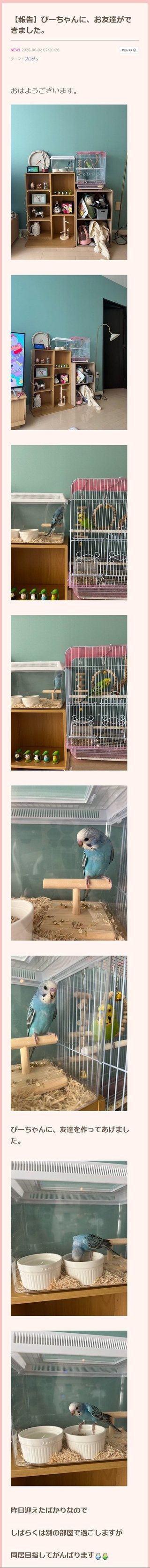 ウコンと支給品と私、時々娘のどすこいな日々