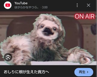 気力が湧かない…