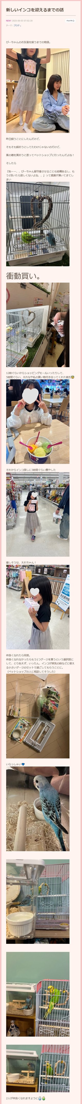 ウコンと支給品と私、時々娘のどすこいな日々