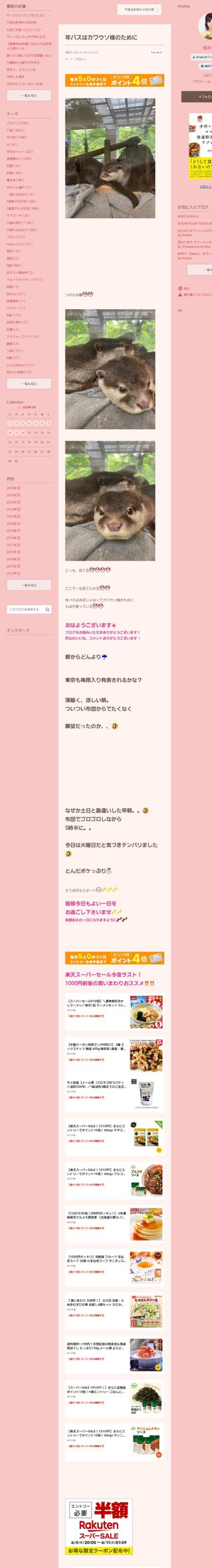 桜井奈々さんって