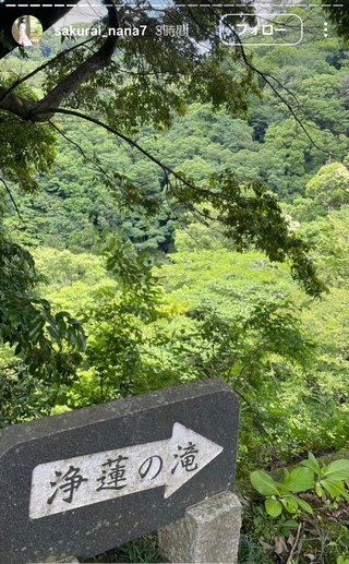 桜井奈々さんって