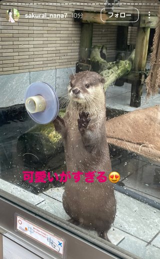 桜井奈々さんって