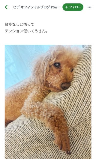 あいのり　ヒデ