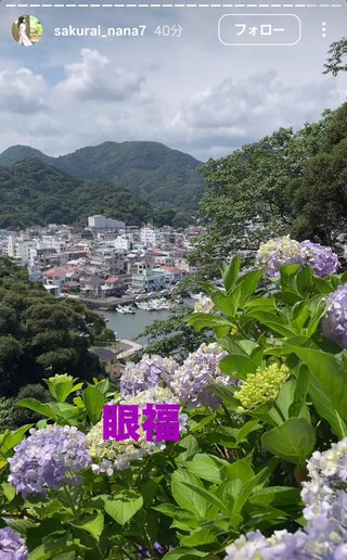 桜井奈々さんって