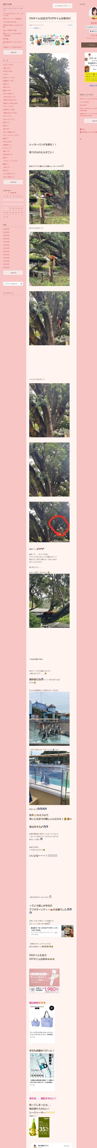 桜井奈々さんって