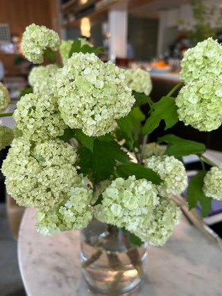 みんな！癒されて(^^)