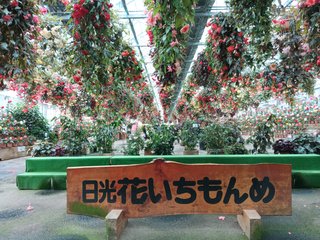 みんな！癒されて(^^)