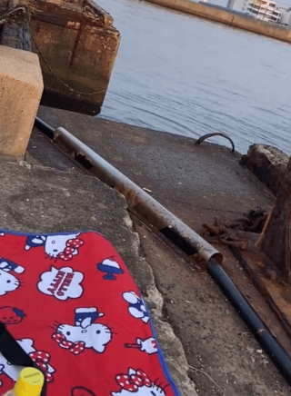 魚釣りをしてたけど1匹も釣れなかった