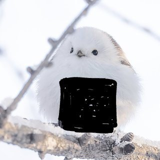 こいつがベランダに来て逃げなかったらどうする？