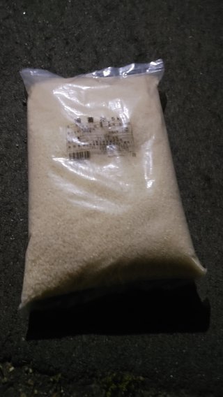 交差点で小泉産ナナヒカリ拾ったよ！！！