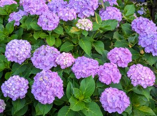 &#x{11:F8E2};なんでもいｰから&#x{11:F8E2};