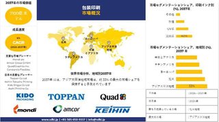 包装印刷産業、シェア、サイズ調査動向、需要分析概要 - 2025-2037年予測