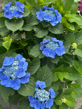 みんな！癒されて(^^)