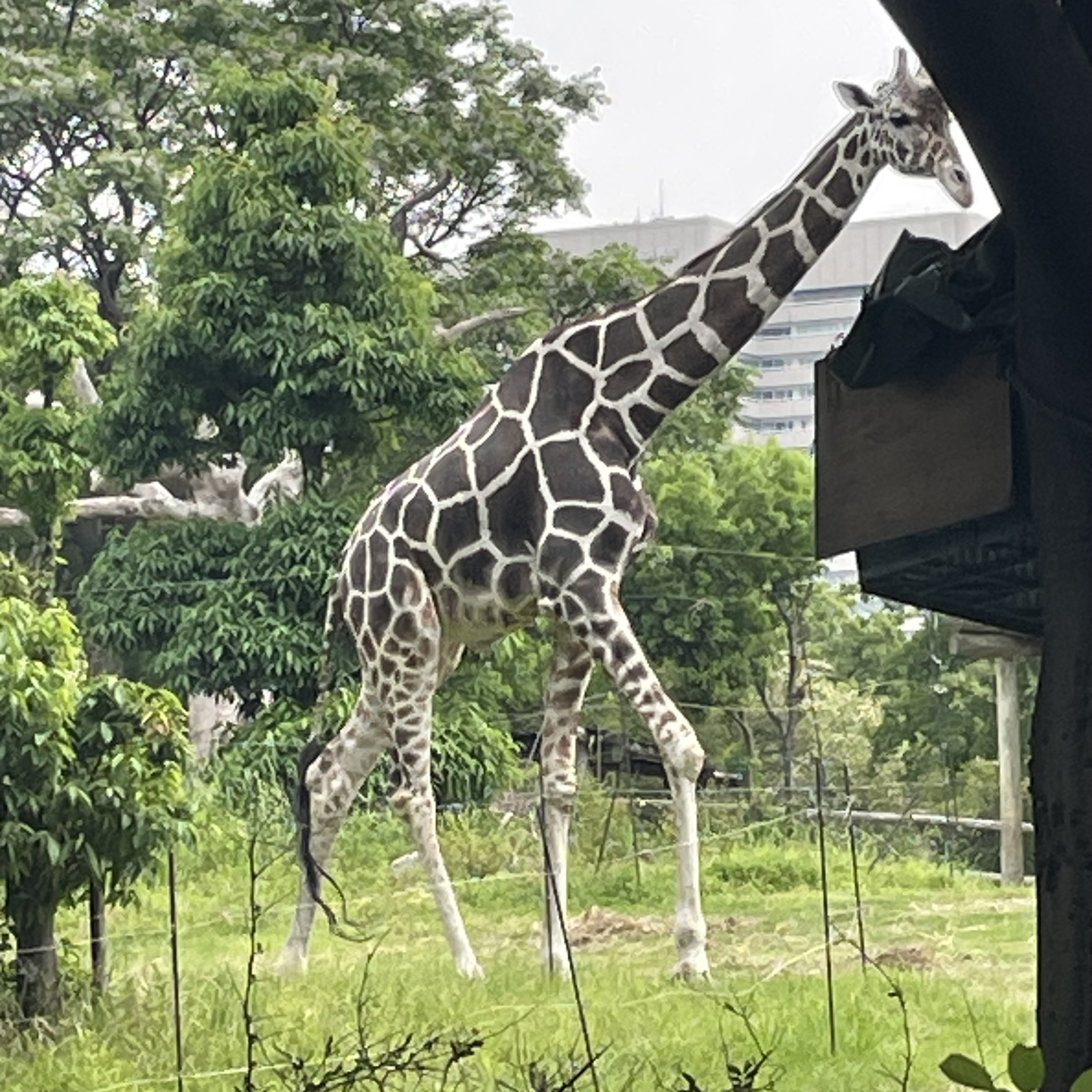 みんな！癒されて(^^)